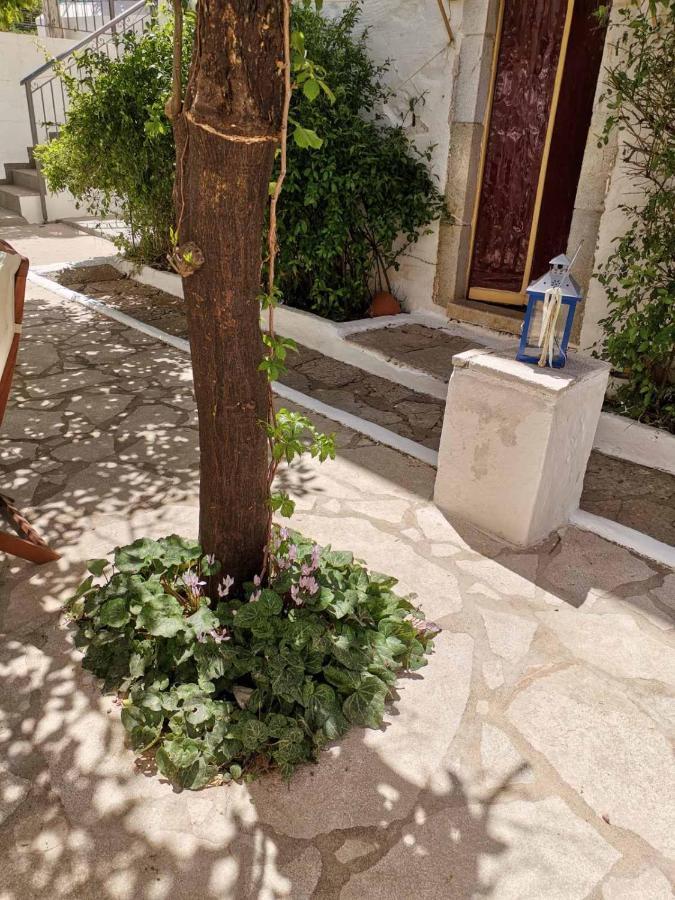 Villa Giannas House Symi Exterior foto